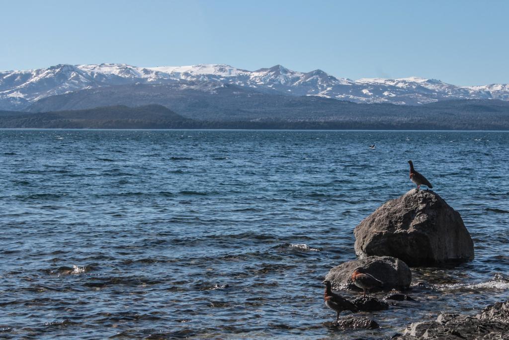 Bungalows San Isidro D.T. 114/10 San Carlos de Bariloche Eksteriør billede